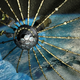 Illustration for article titled DARPA Moving Ahead with Building Zombie Frankensatellites
